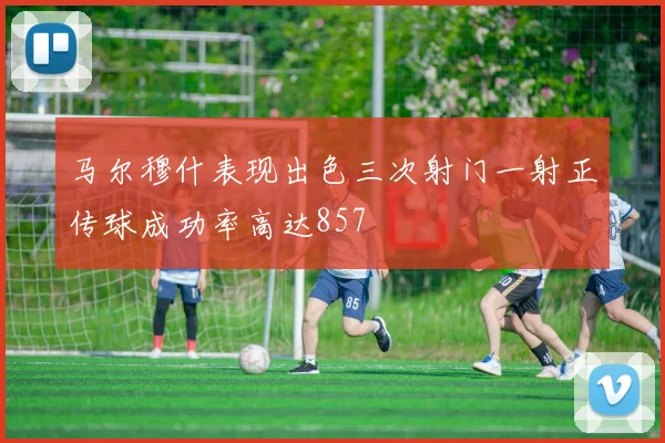 马尔穆什表现出色三次射门一射正传球成功率高达857