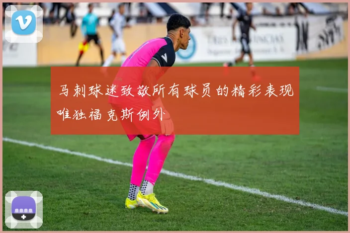 马刺球迷致敬所有球员的精彩表现唯独福克斯例外
