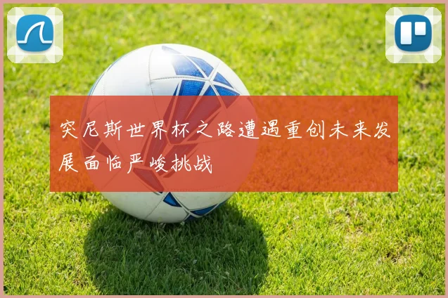 突尼斯世界杯之路遭遇重创未来发展面临严峻挑战